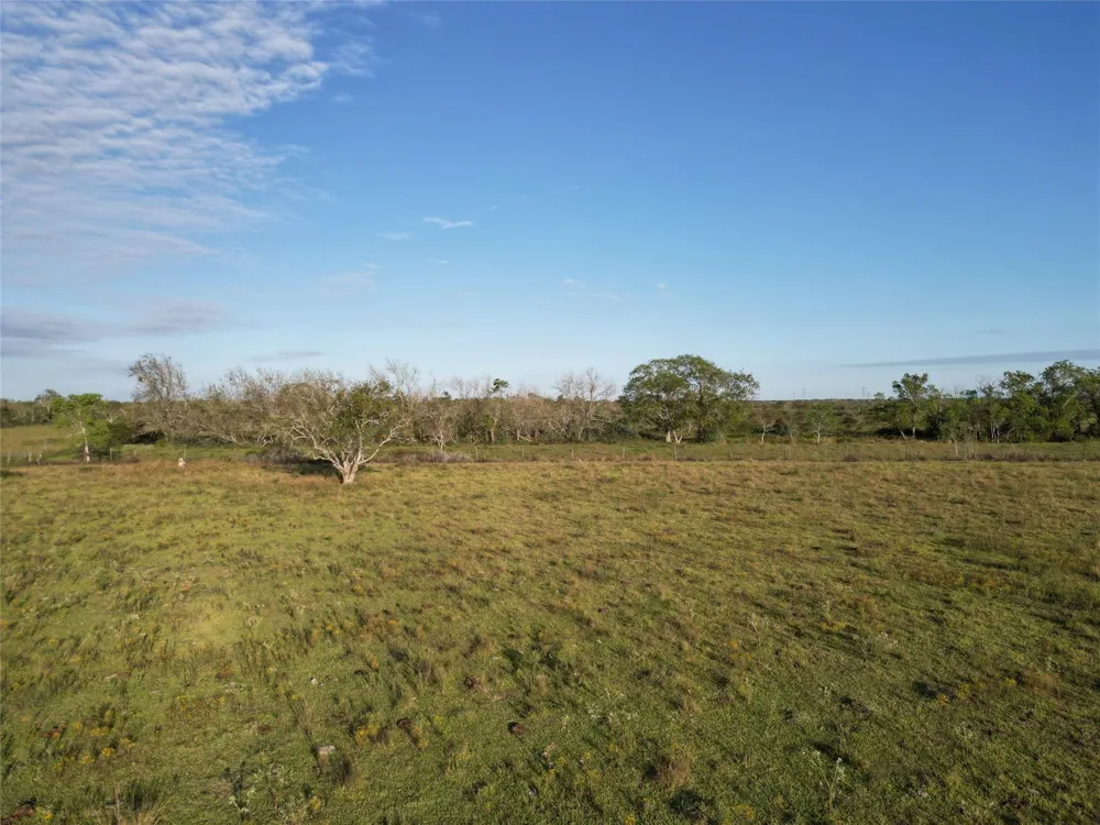 County Rd 220 Angleton, TX 77515