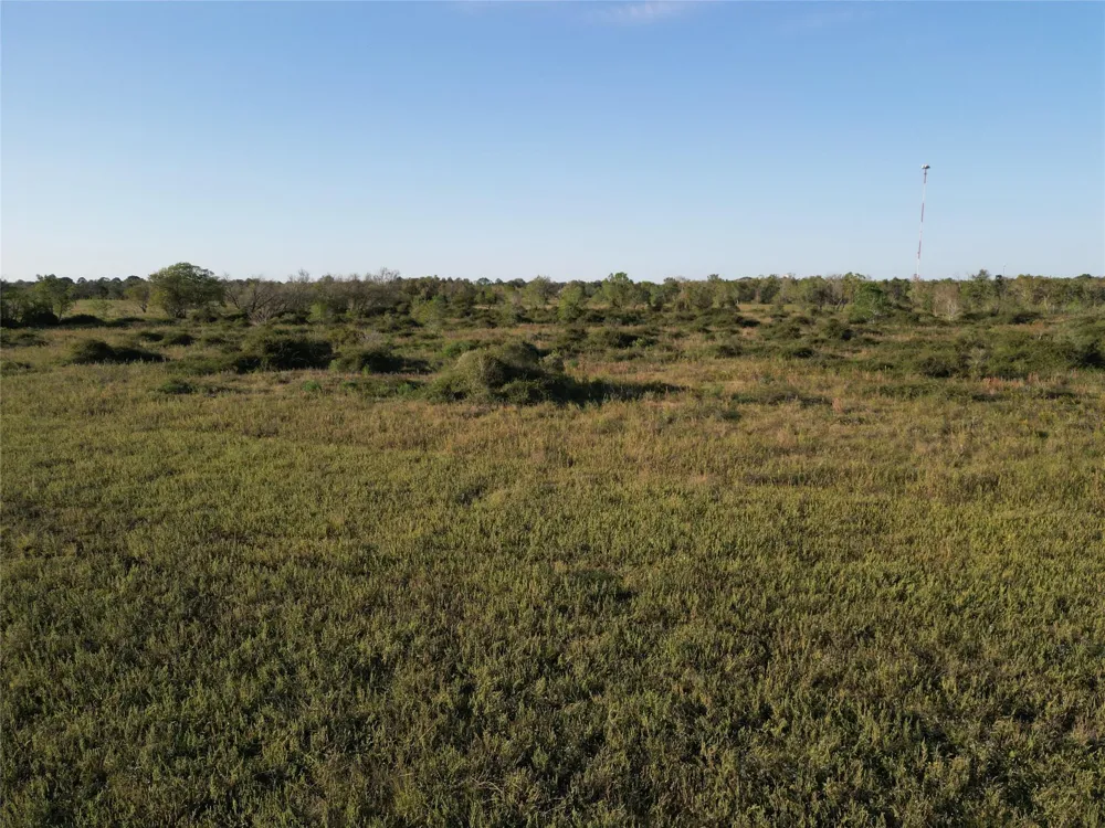 County Rd 220 Angleton, TX 77515