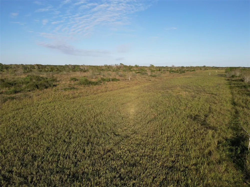 County Rd 220 Angleton, TX 77515