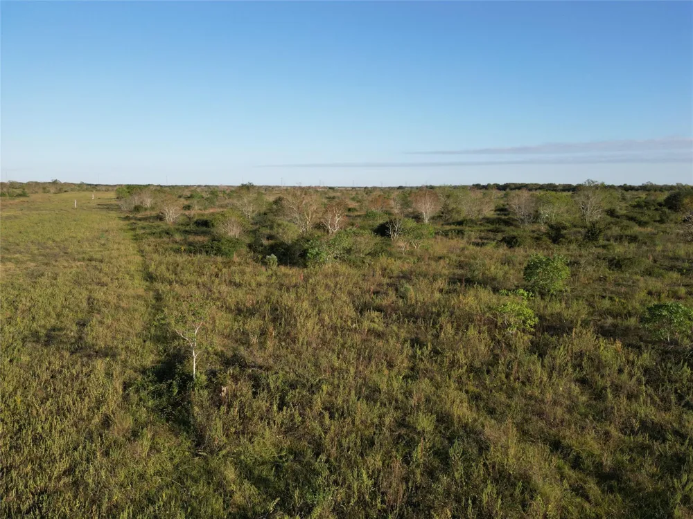 County Rd 220 Angleton, TX 77515