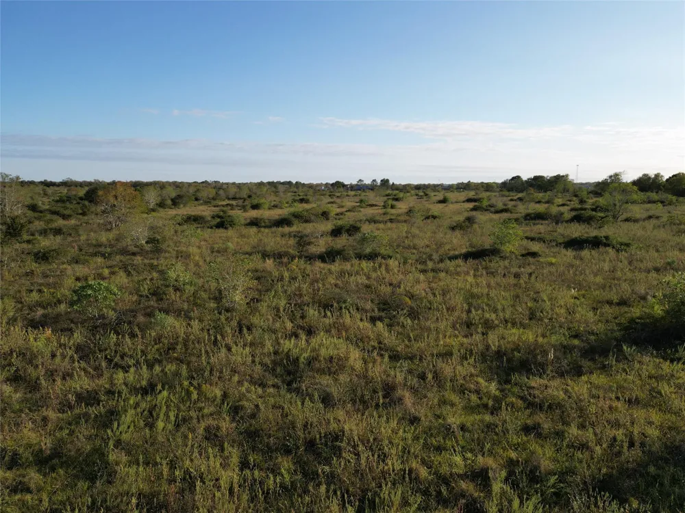 County Rd 220 Angleton, TX 77515