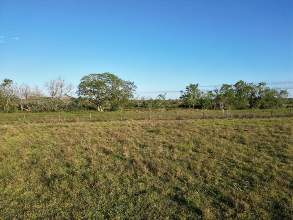 County Rd 220 Angleton, TX 77515