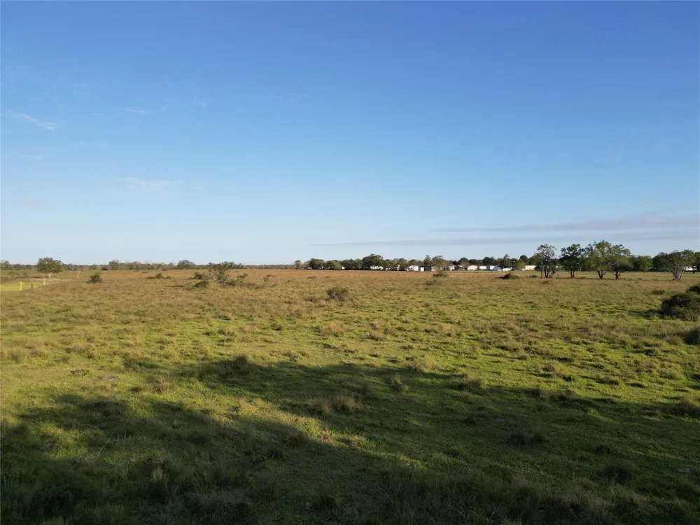 County Rd 220 Angleton, TX 77515