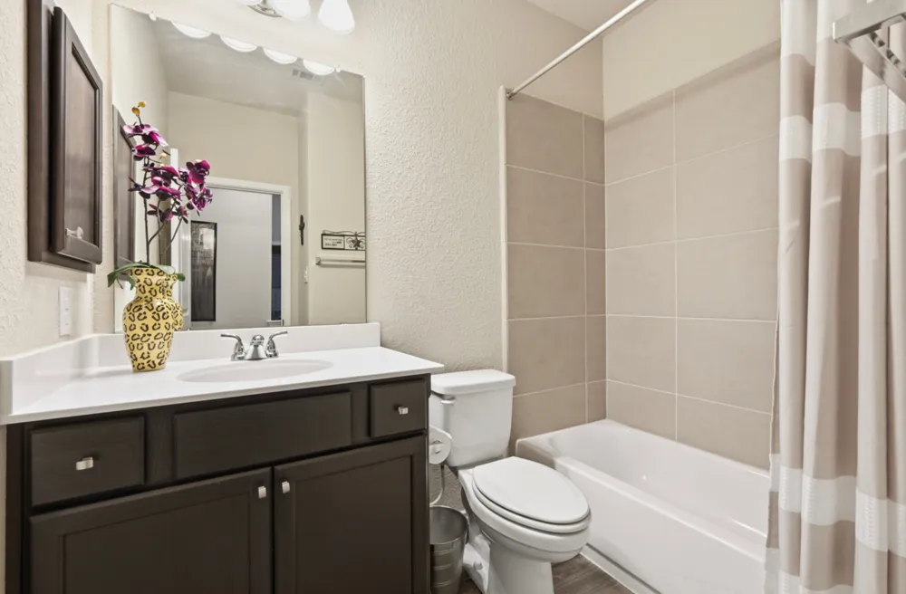 373 LACEY OAK LOOP San Marcos, TX 78666