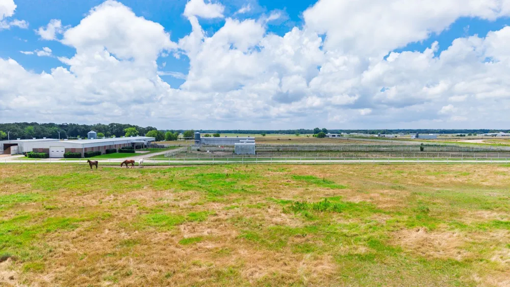 4509 Diamond D Road Lone Oak, TX 75453