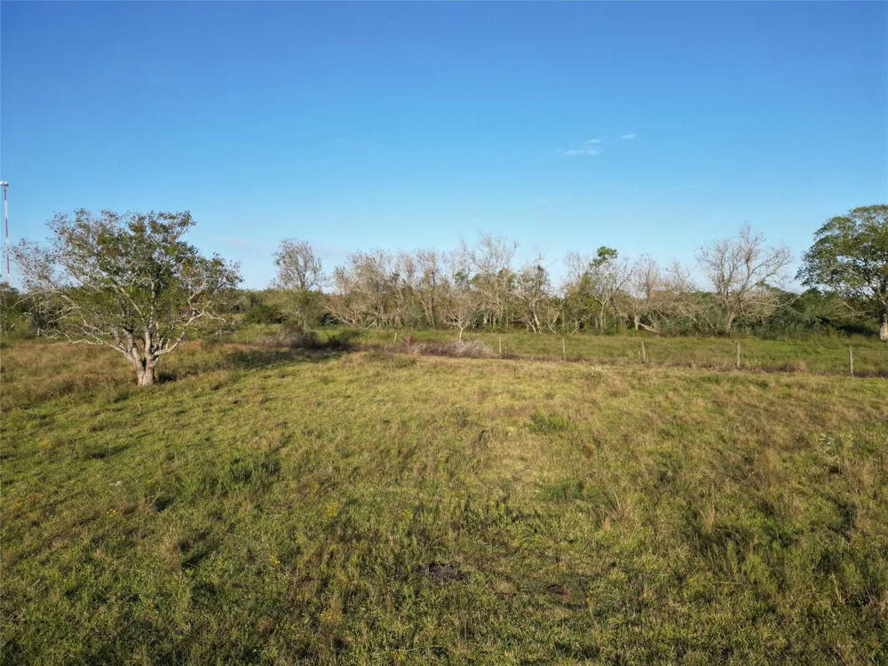 County Road 220 Angleton, TX 77515