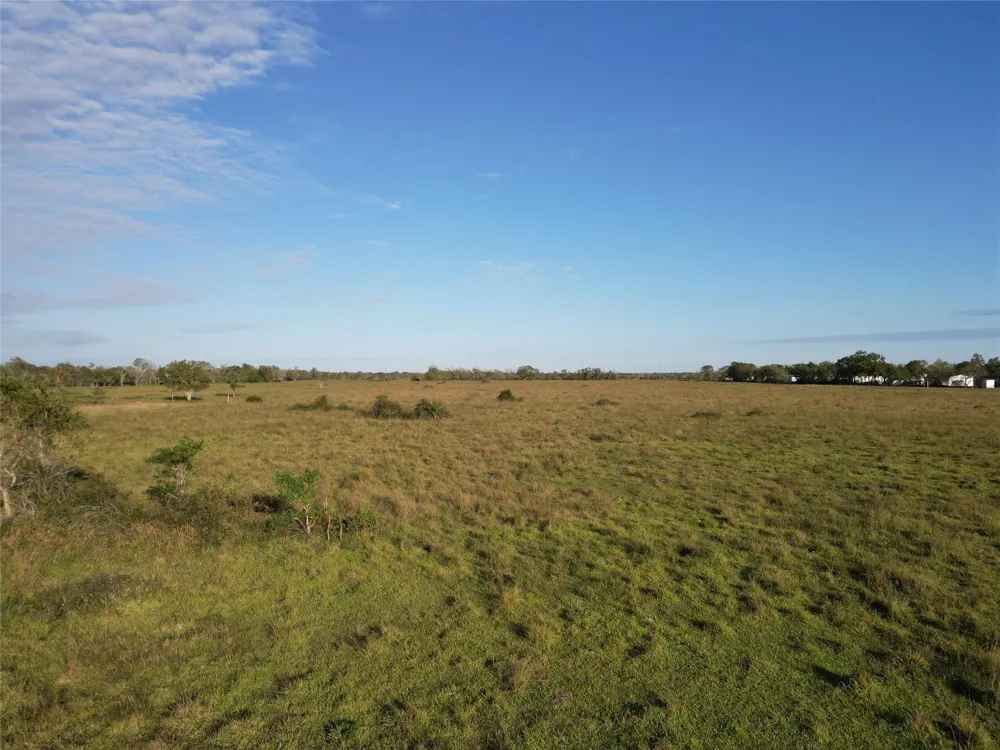 County Road 220 Angleton, TX 77515