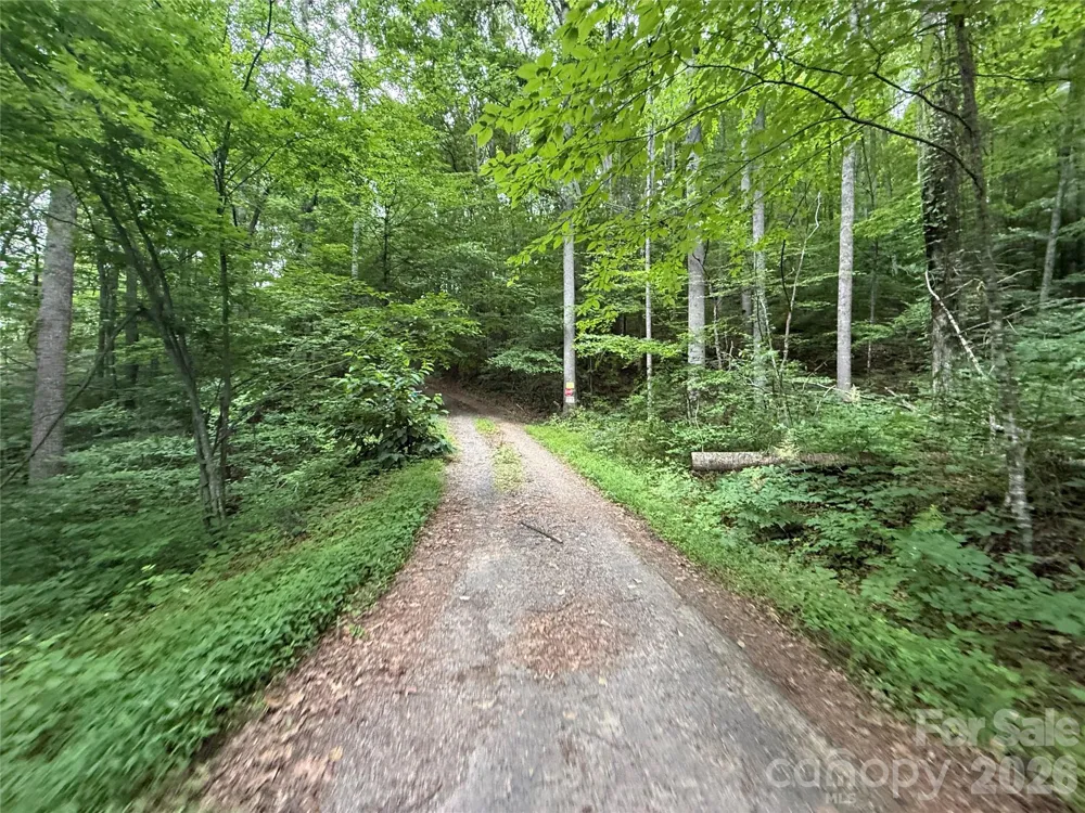9999 Countryside Estate Barnardsville, NC 28709