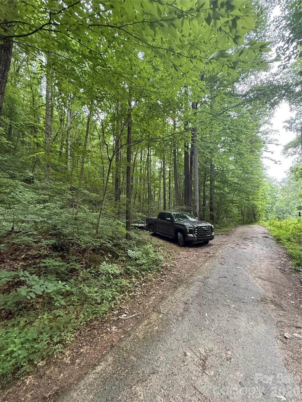 9999 Countryside Estate Barnardsville, NC 28709