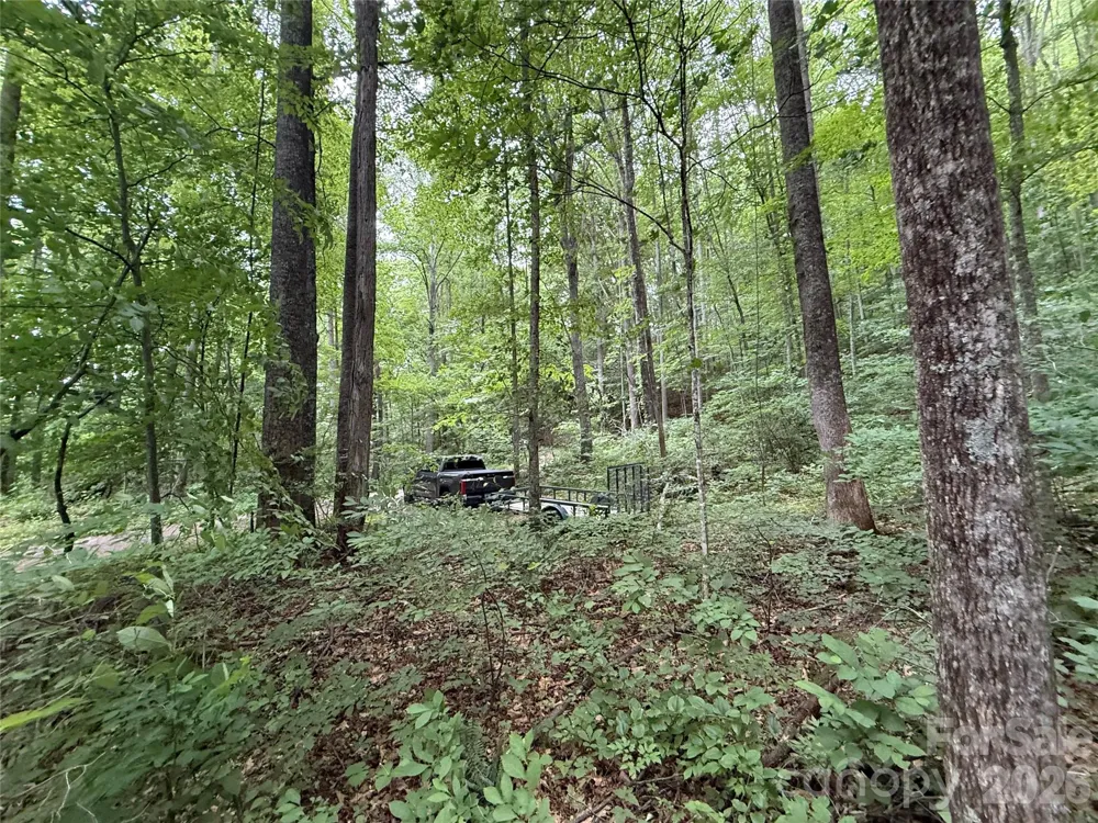 9999 Countryside Estate Barnardsville, NC 28709