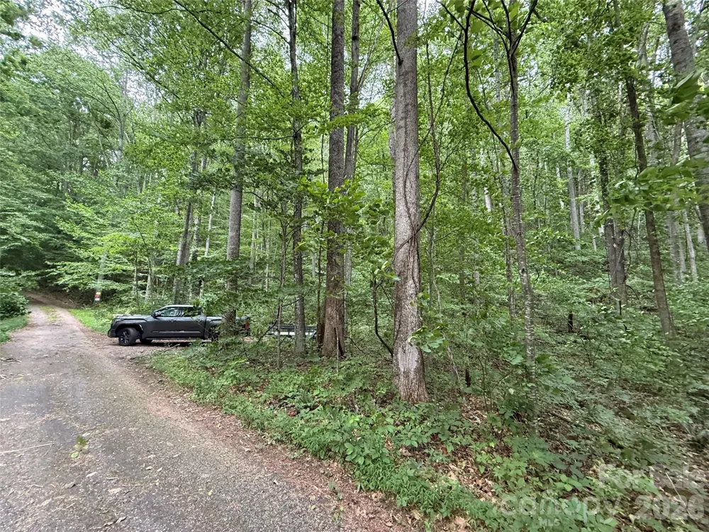 9999 Countryside Estate Barnardsville, NC 28709