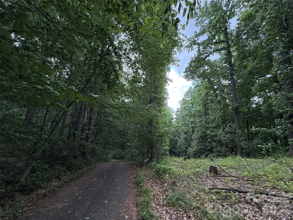 9999 Countryside Estate Barnardsville, NC 28709