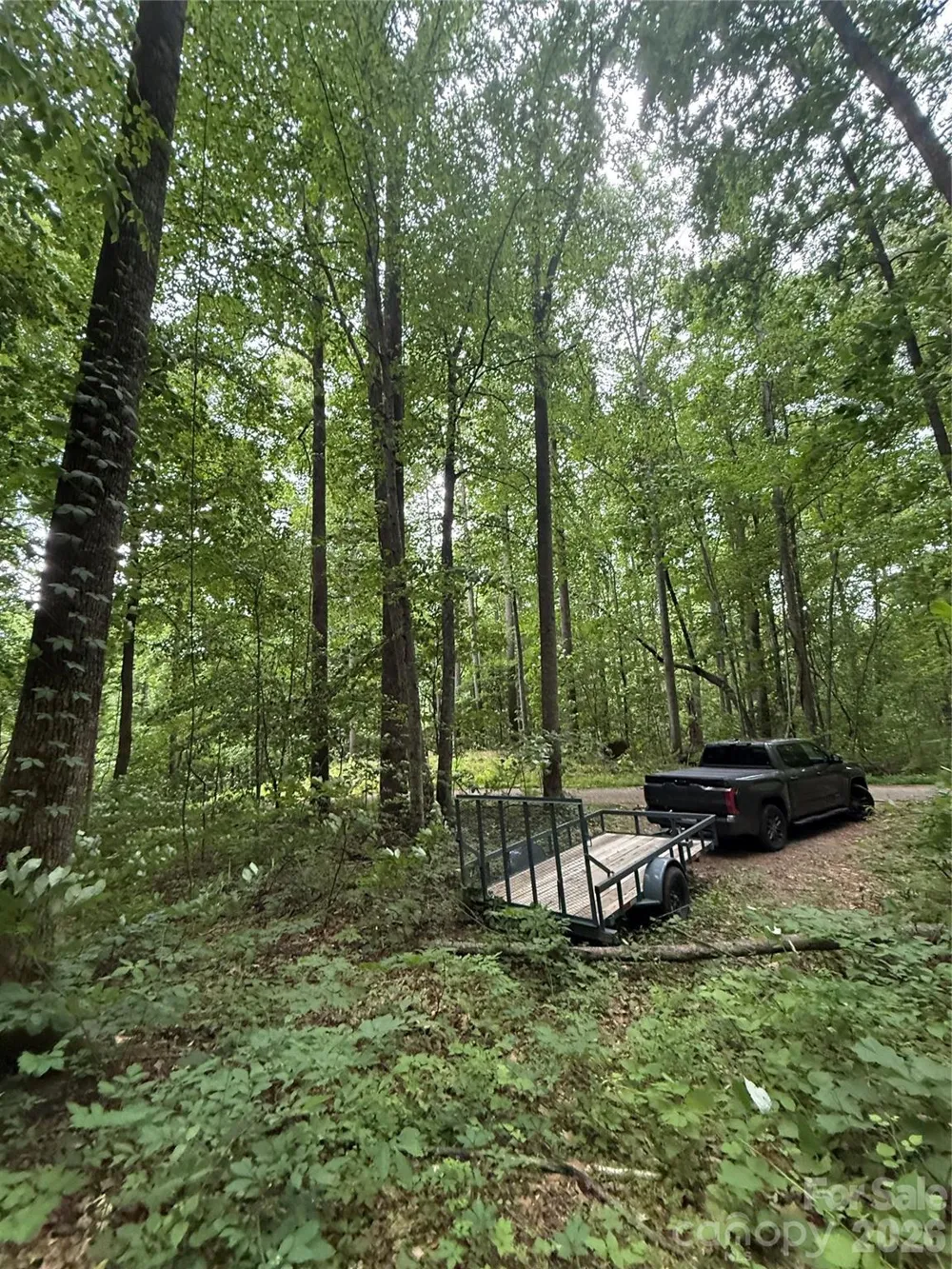 9999 Countryside Estate Barnardsville, NC 28709