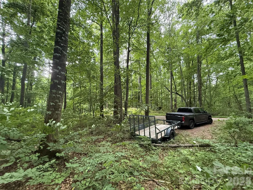 9999 Countryside Estate Barnardsville, NC 28709
