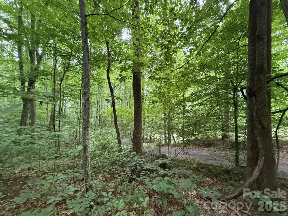 9999 Countryside Estate Barnardsville, NC 28709