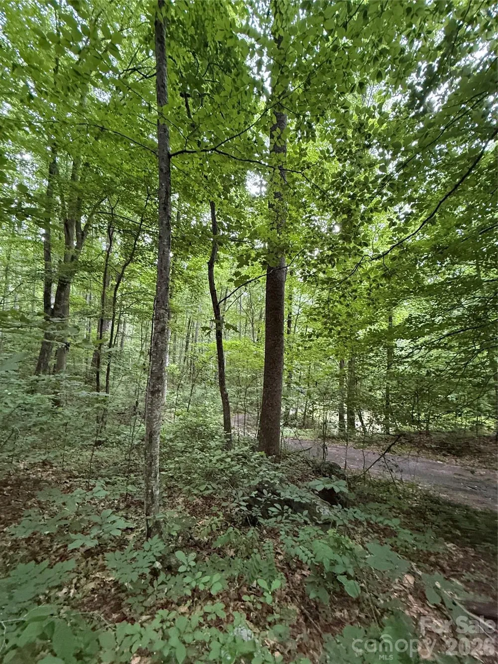 9999 Countryside Estate Barnardsville, NC 28709