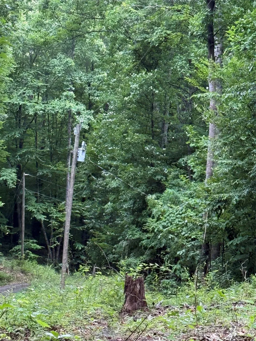 9999 Countryside Estate Barnardsville, NC 28709