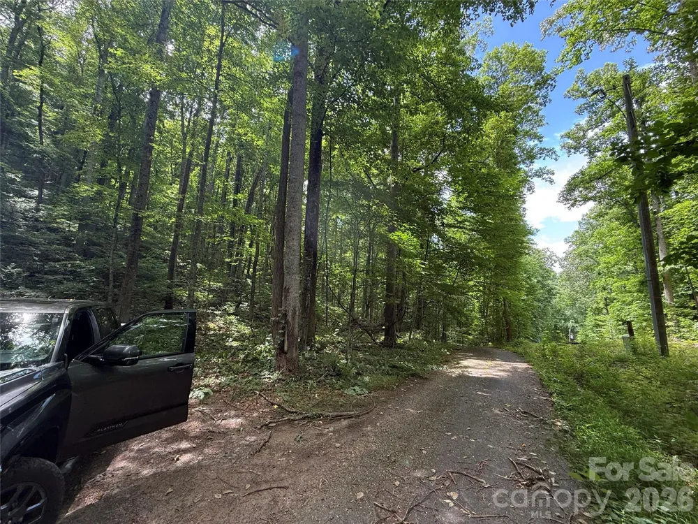 9999 Countryside Estate Barnardsville, NC 28709