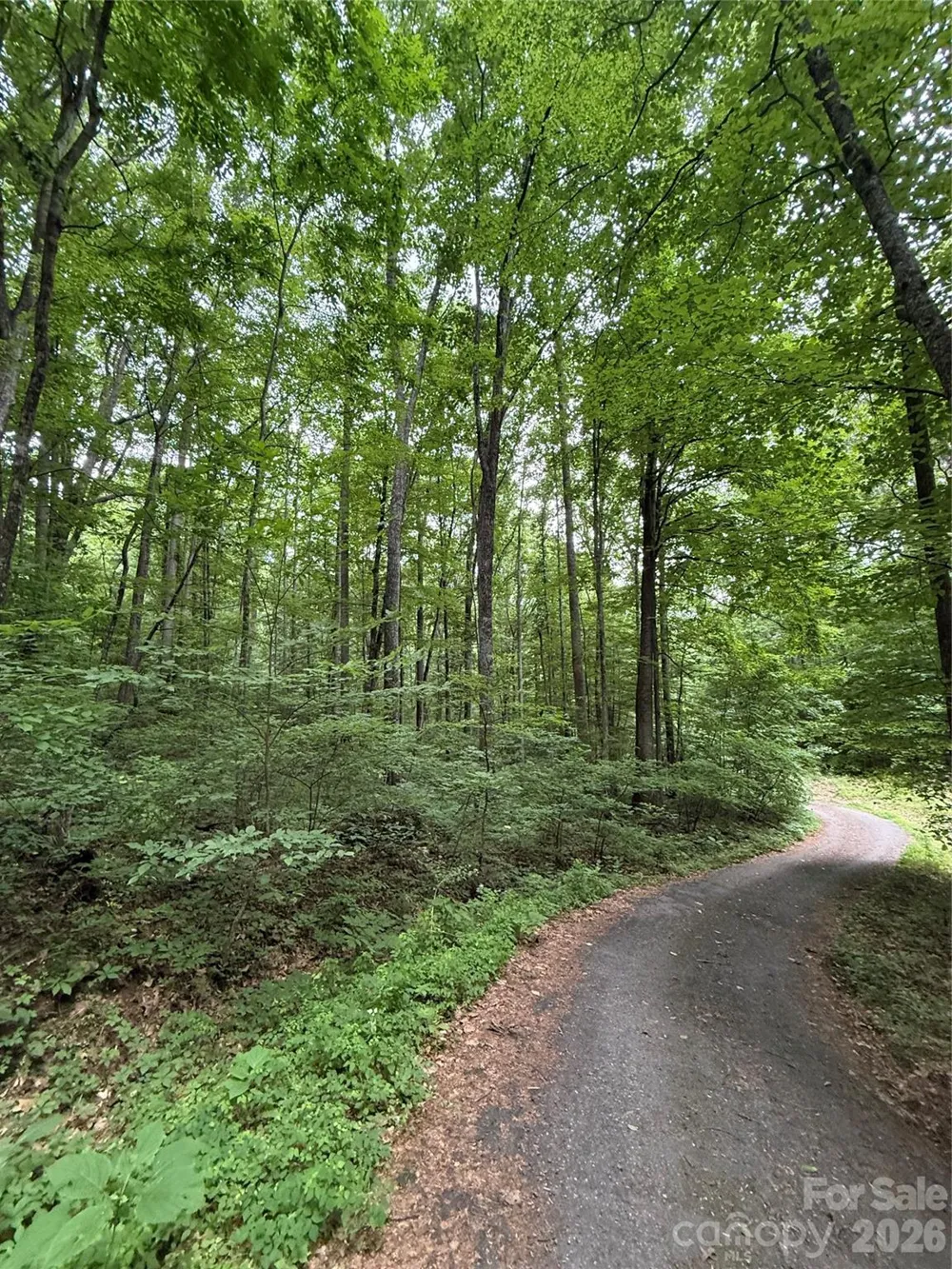 9999 Countryside Estate Barnardsville, NC 28709