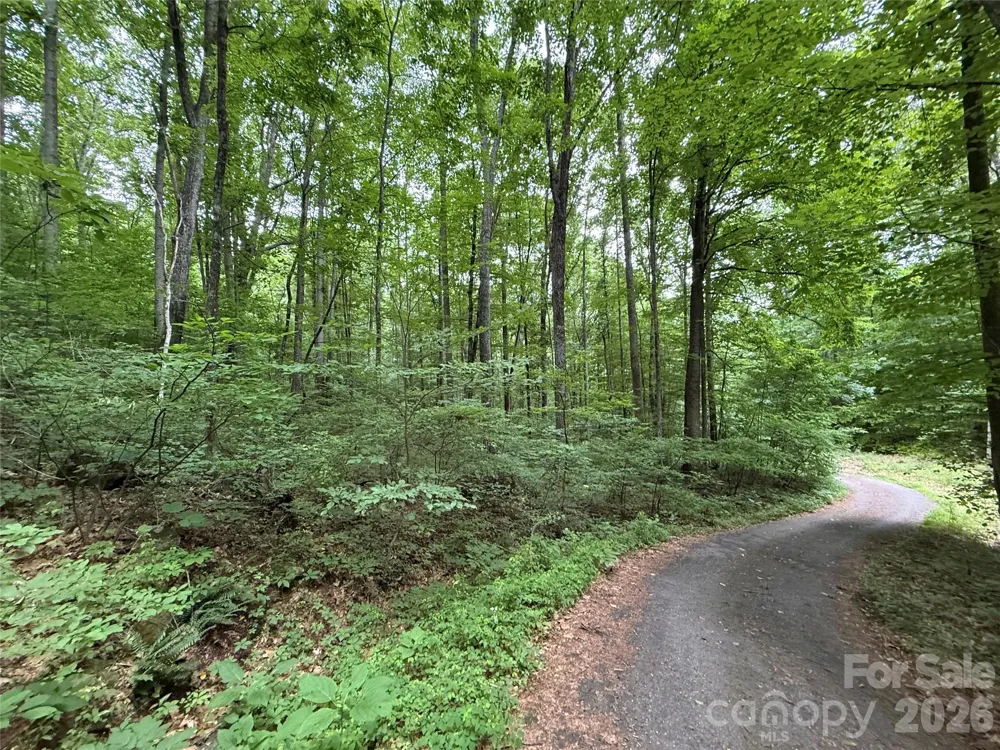 9999 Countryside Estate Barnardsville, NC 28709
