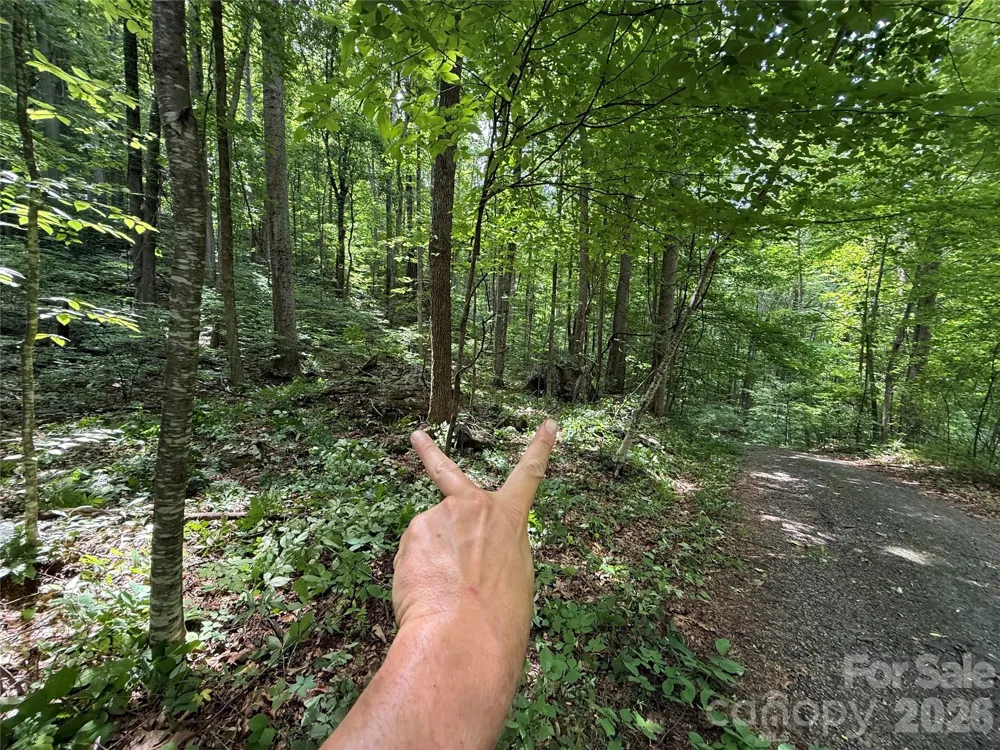 9999 Countryside Estate Barnardsville, NC 28709