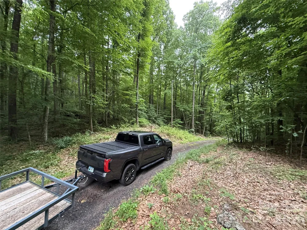 9999 Countryside Estate Barnardsville, NC 28709