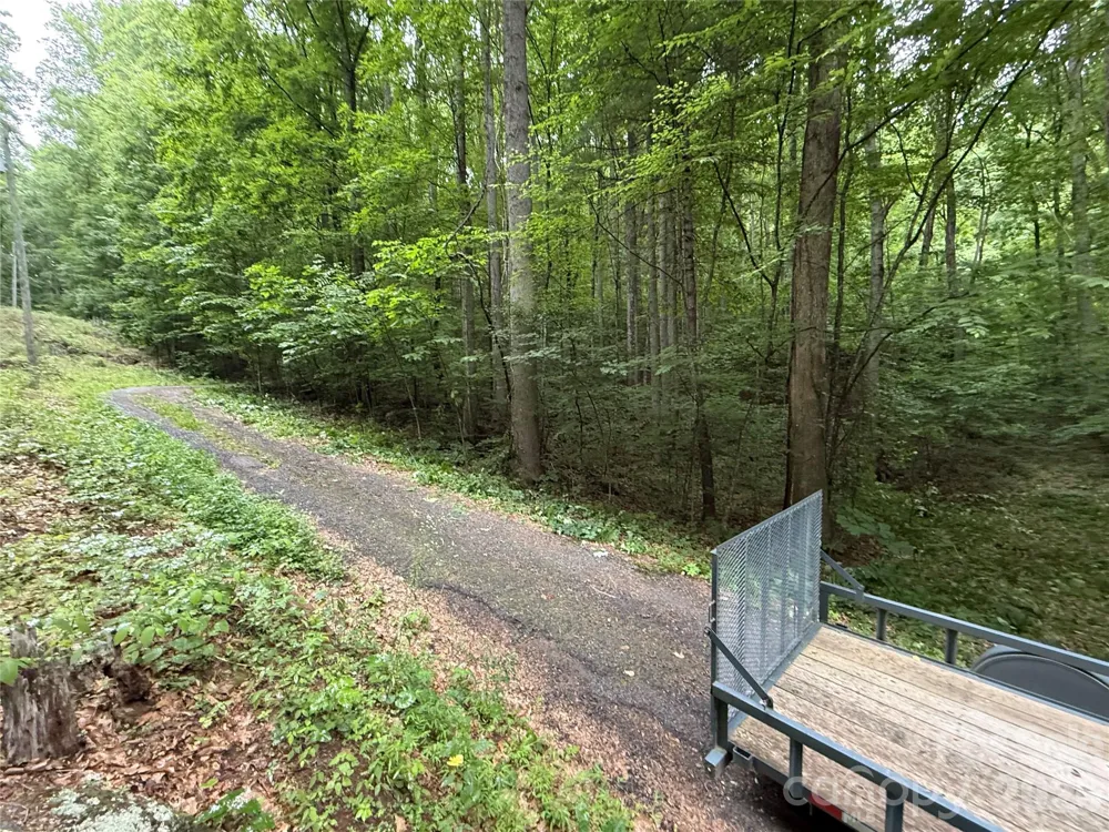 9999 Countryside Estate Barnardsville, NC 28709
