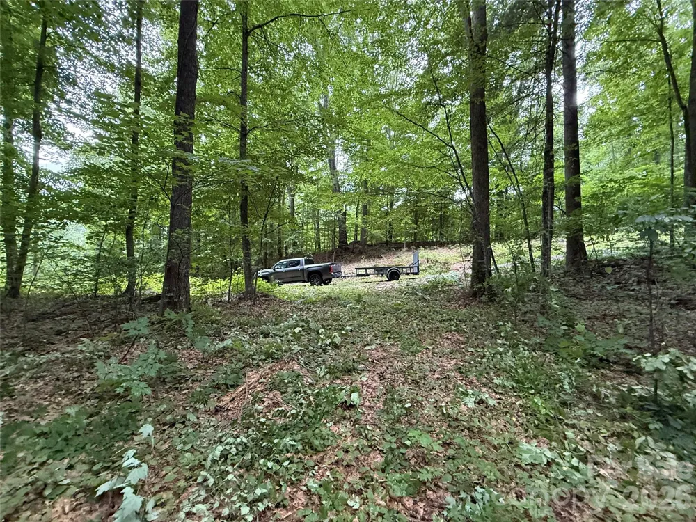 9999 Countryside Estate Barnardsville, NC 28709