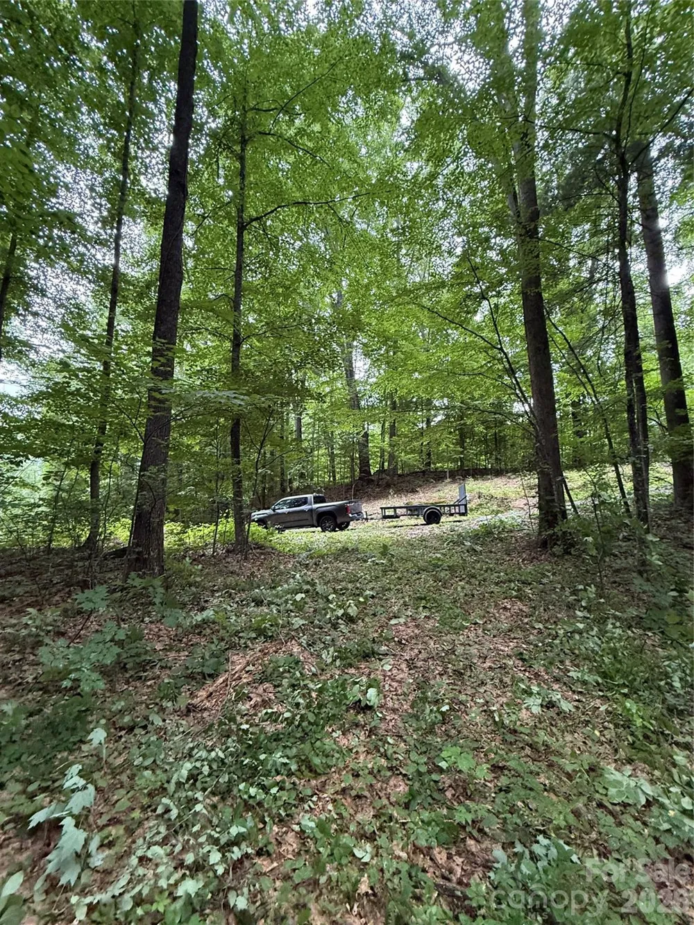 9999 Countryside Estate Barnardsville, NC 28709