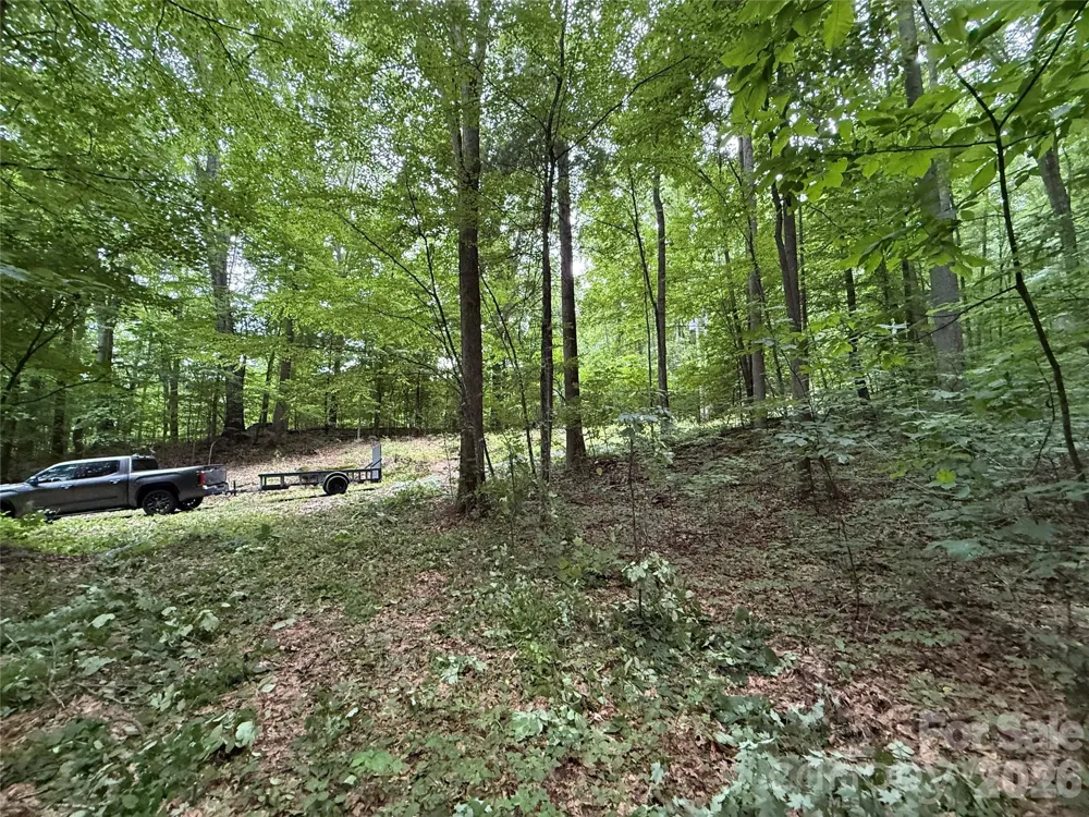 9999 Countryside Estate Barnardsville, NC 28709