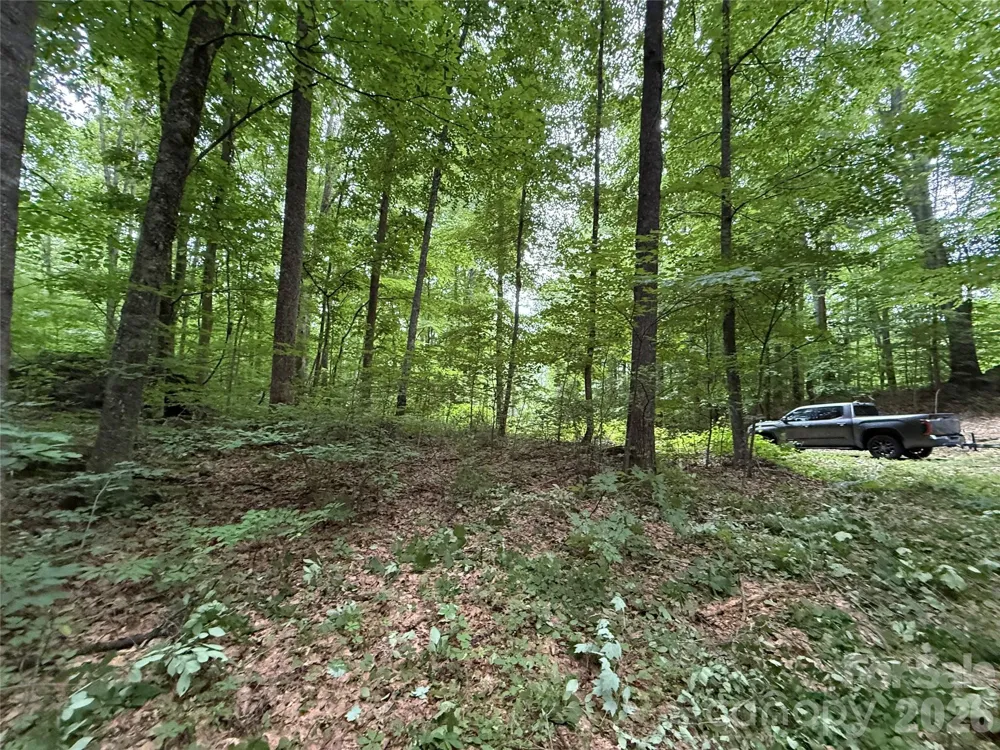 9999 Countryside Estate Barnardsville, NC 28709