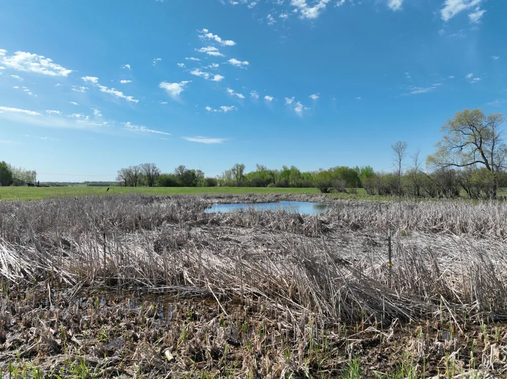 000 290th Avenue SW Long Prairie, MN 56347