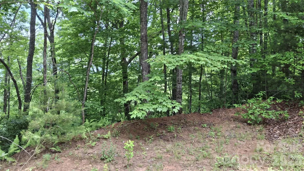 77 Kako Ridge #57 Sylva, NC 28779