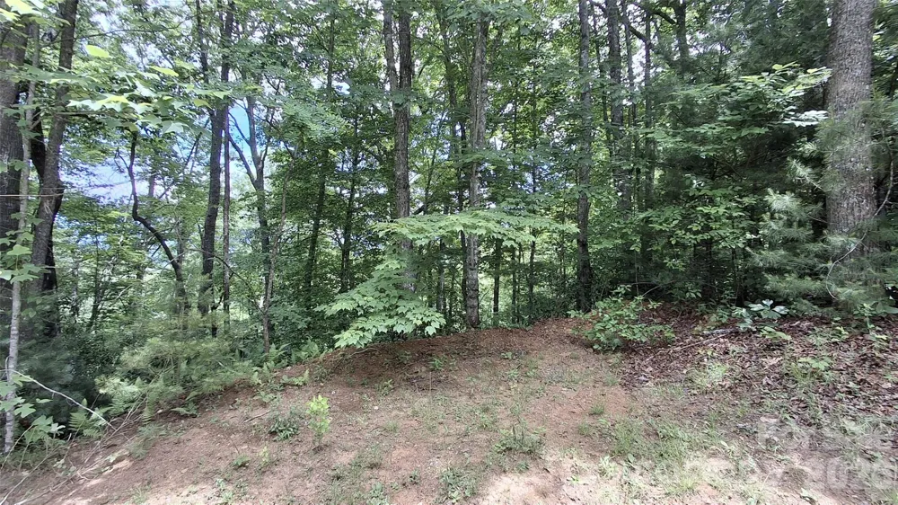 77 Kako Ridge #57 Sylva, NC 28779