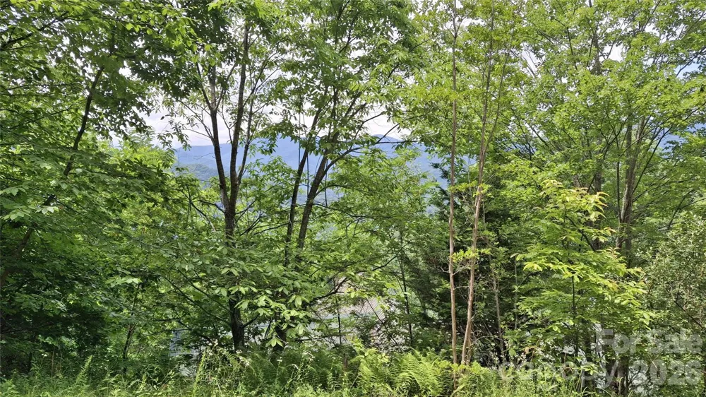 77 Kako Ridge #57 Sylva, NC 28779