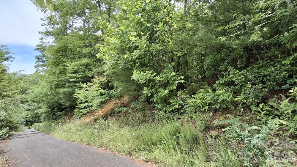 77 Kako Ridge #57 Sylva, NC 28779