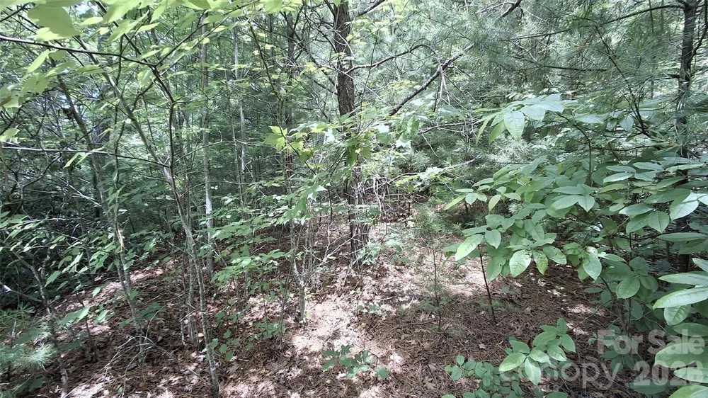 77 Kako Ridge #57 Sylva, NC 28779