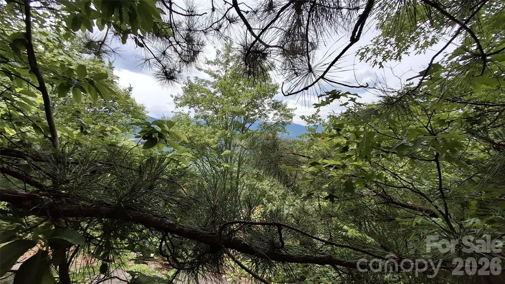 77 Kako Ridge #57 Sylva, NC 28779
