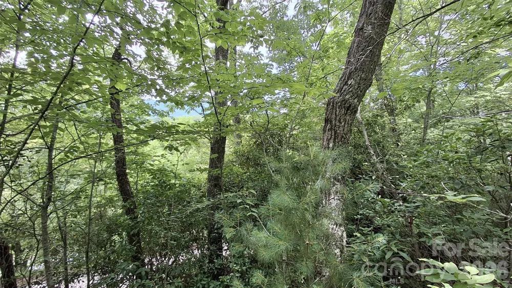 77 Kako Ridge #57 Sylva, NC 28779