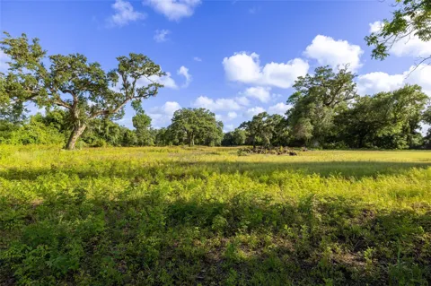 15074 Tx Highway 35