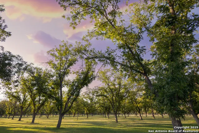 370 JOHNNY SEIBERT LN Leakey, TX 78873