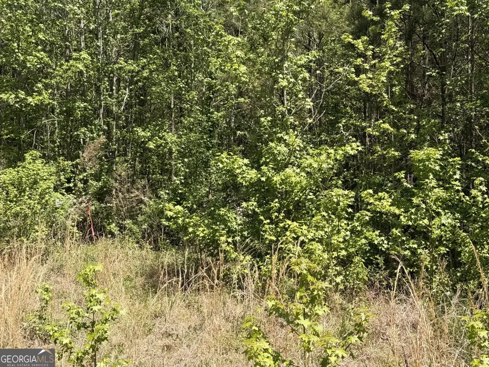 0 Waddell RD Bremen, GA 30110