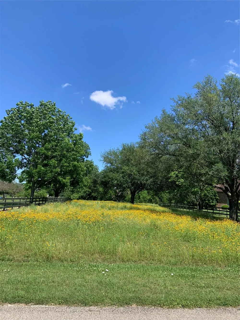 31318 Lower Oxbow Trace Fulshear, TX 77441