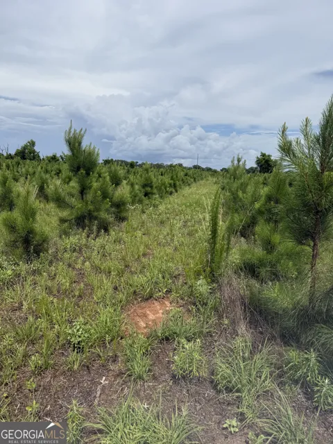 4276 county line RD