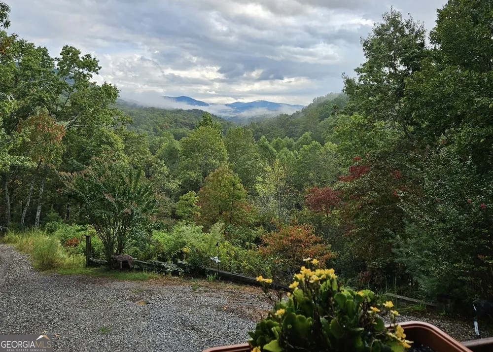 32 Ivey Ridge RD Suches, GA 30572