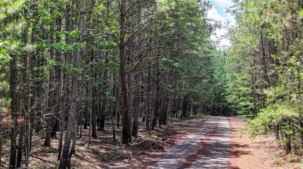 47 Lot Rockmart, GA 30153