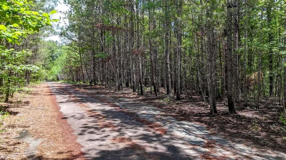 47 Lot Rockmart, GA 30153