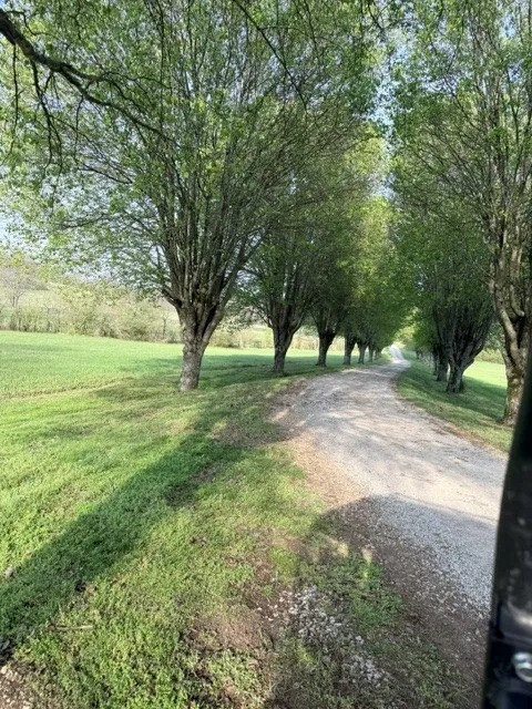2200 Sugar Ridge Rd Spring Hill, TN 37174