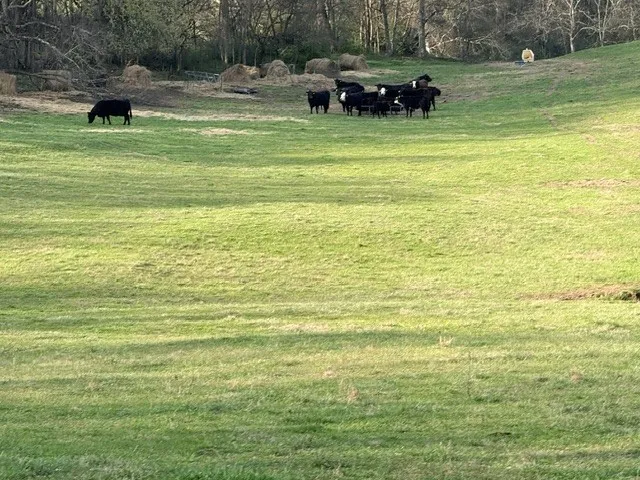 2200 Sugar Ridge Rd Spring Hill, TN 37174