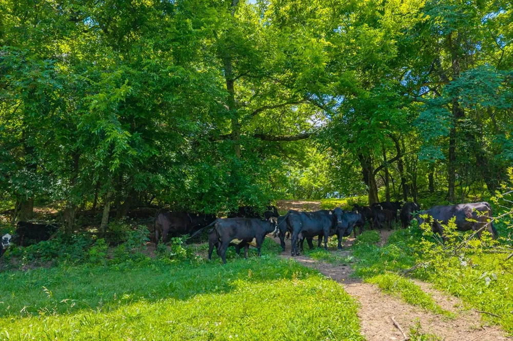 2200 Sugar Ridge Rd Spring Hill, TN 37174